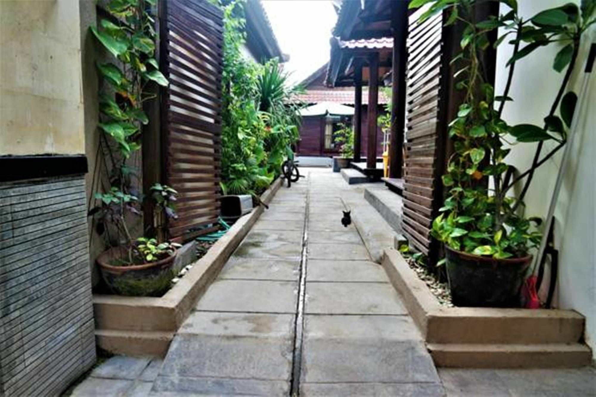 Drupadi Bungalows Гили Траванган Экстерьер фото